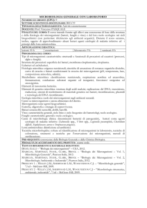 14--Programmi Guida 2013-14 (F.Peluso, 10 programmi)