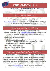 che pianta è - Erbario