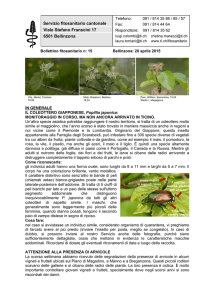 Servizio fitosanitario cantonale Viale Stefano
