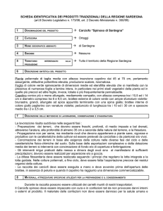 scarica il documento