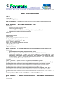 MODULO TECNICO PROFESSIONALE ORE