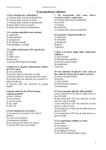 Scarica il test nel formato PDF
