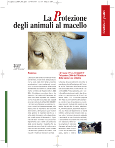 La Protezione degli animali al macello