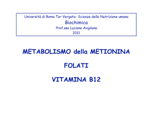 CH - Macroarea di Scienze