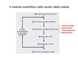 Lezione 3 - 24/10/11 File