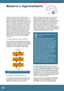 Memoria e Apprendimento - Formazione in Psicologia