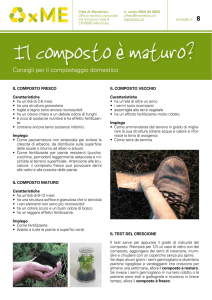 Scheda 8 - Città di Mendrisio