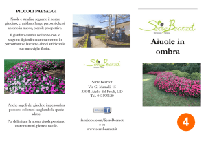 Aiuole in ombra