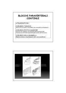 BLOCCHI PARAVERTEBALI CONTINUI
