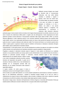 Sintesi di leganti biomimetici per proteine