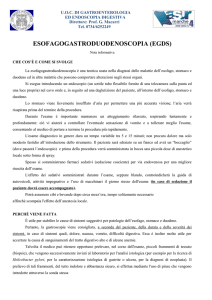 Nota informativa EGDS