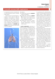 Controllo nervoso della respirazione