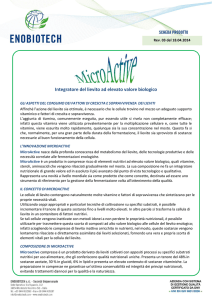 Integratore del lievito ad elevato valore biologico
