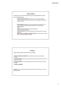 sistema e organi linfatici 2