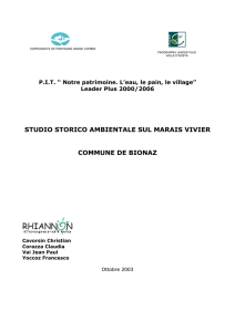 documento specie torrente