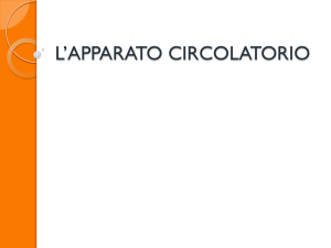 l`apparato circolatorio - Liceo Scientifico Statale Einstein Milano