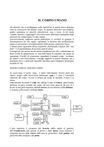 IL CORPO UMANO