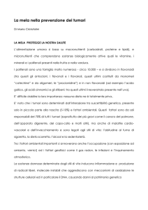 La mela nella prevenzione dei tumori