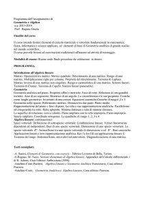 Programma Geometria 6 CFU