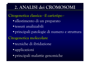 Sindrome di Down