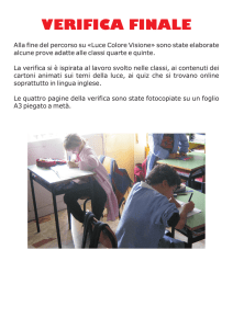 Verifica - Luce Colore Visione