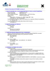 mordente alcol 1000gr