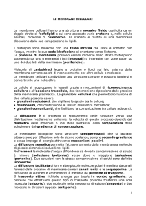 6 LE MEMBRANE CELLULARI