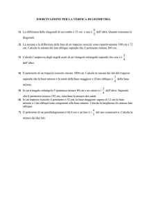 ESERCITAZIONE PER LA VERFICA DI GEOMETRIA 1) La