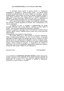 Gli affreschi della Val Noana (1992-1994)" di Toni