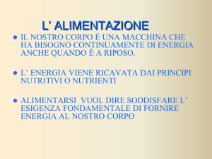 L` apparato digerente