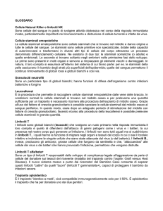 - Ospedale Pediatrico Bambino Gesù