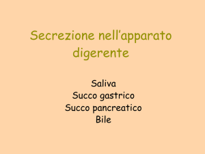 Digerente-2