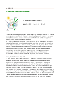 Lezione in PDF