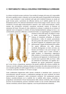l` instabilita` della colonna vertebrale lombare