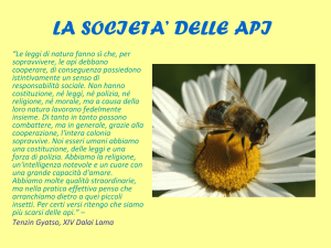 la societa` delle api - ITT Marconi Rovereto