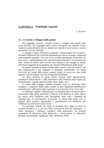 Fenologia vegetale. In
