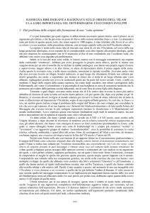 Dal problema delle origini alla formazione di una