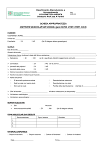DISTROFIE MUSCOLARI DEI CINGOLI (CAPN3, DYSF, FKRP