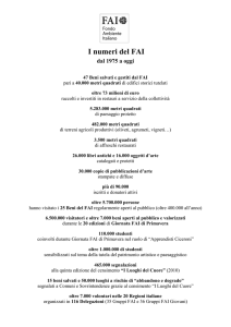 I numeri del FAI