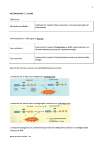 Metabolismo cellulare - Blog di aiutoperstudiare