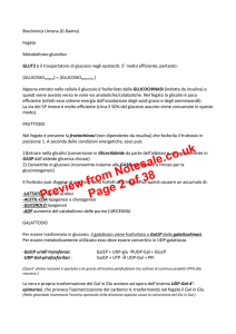 Preview from Notesale.co.uk Page 2 of 38