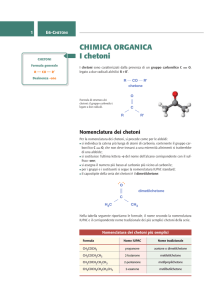 E6 Chetoni - Zanichelli online per la scuola