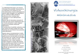 Scarica la brochure - Clinica Veterinaria Baioni