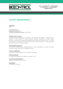 lattico deidrogenasi