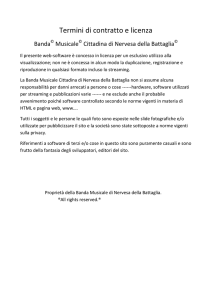 Termini di contratto e licenza