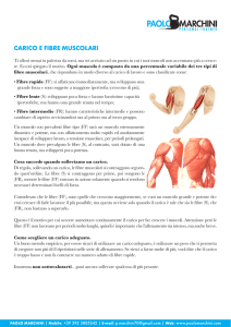 carico e fibre muscolari