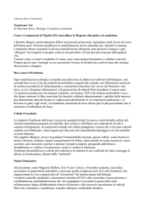 Testati per Voi