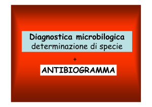08 Diagnosi batteriologica 2