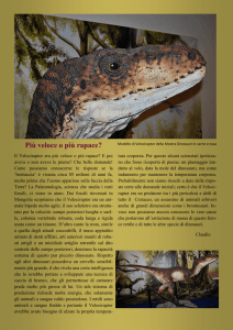 Più veloce o più rapace?