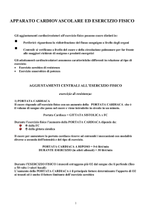 apparato cardiovascolare ed esercizio fisico
